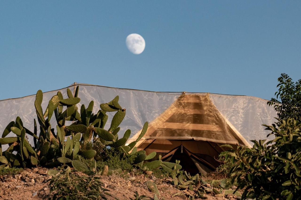 Finca Gaia La Segunda Guía de Isora Eksteriør bilde