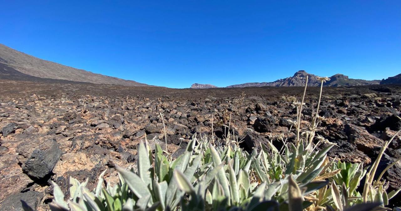 Finca Gaia La Segunda Guía de Isora Eksteriør bilde