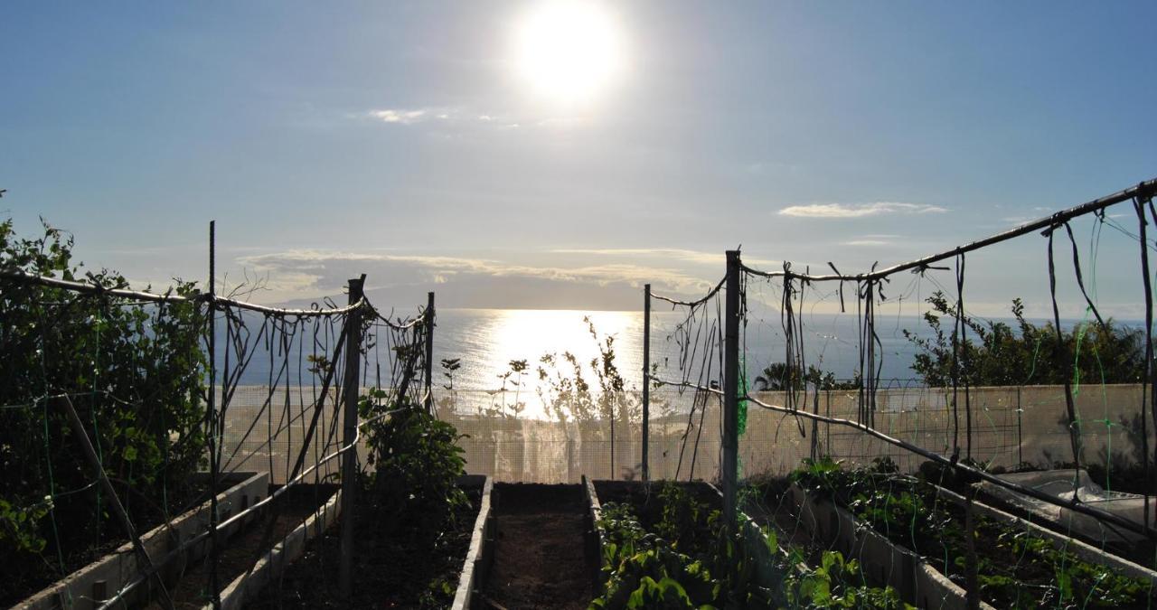 Finca Gaia La Segunda Guía de Isora Eksteriør bilde